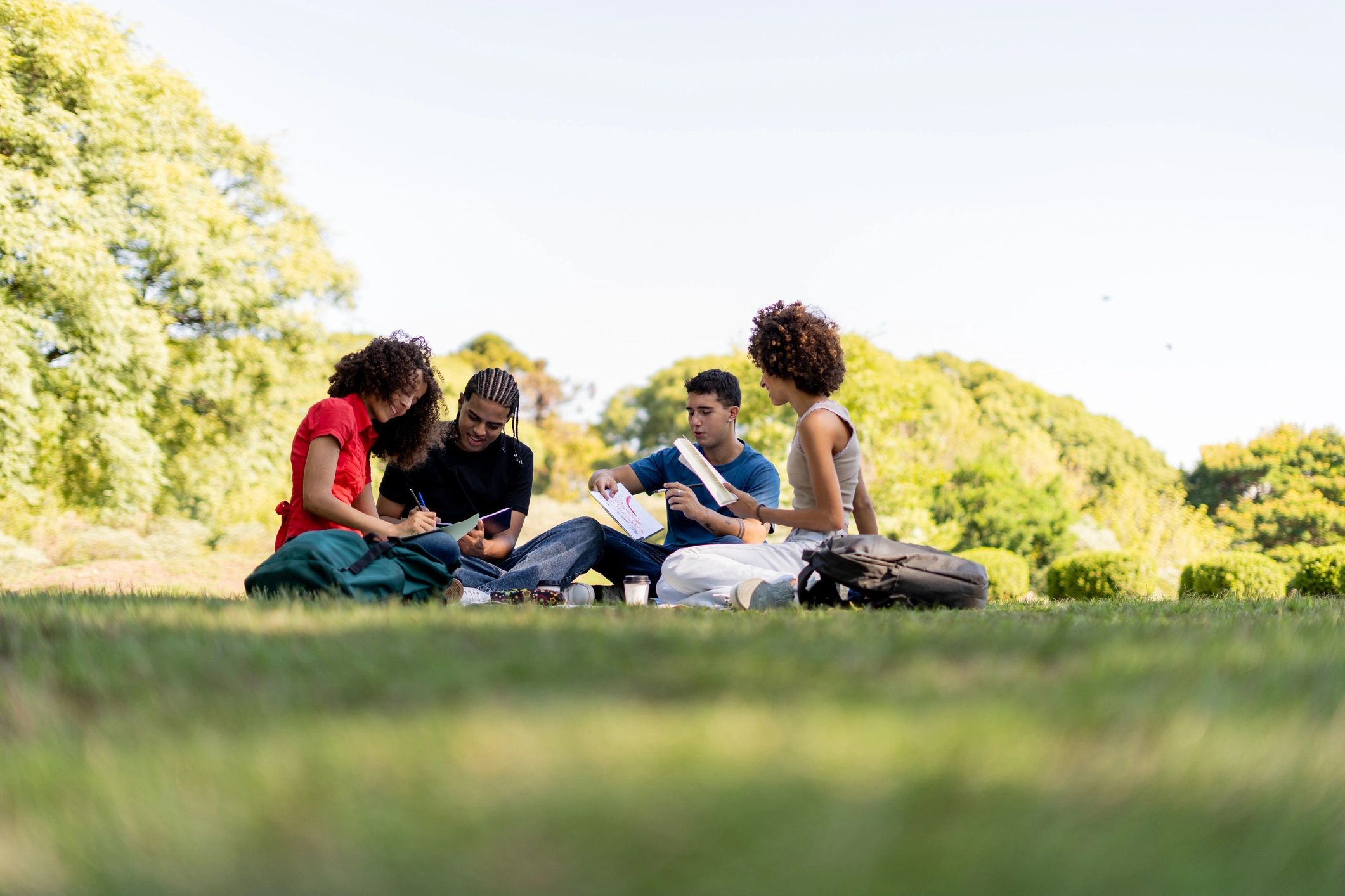 Friends studying together in a public park